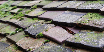 Llanedeyrn roof repair costs